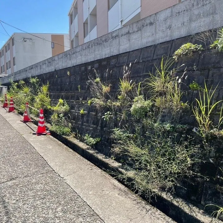 今回は、Kアパートの草刈り作業を行いました🌿✨