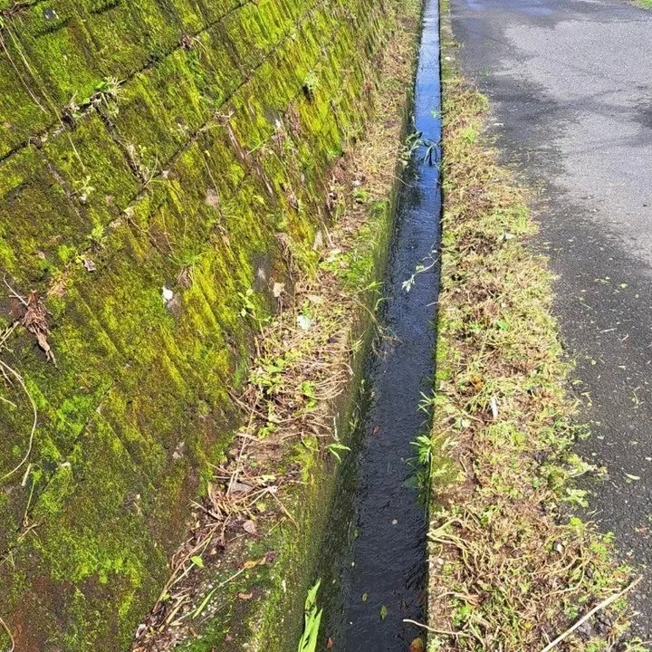 今回は、Kアパートの草刈り作業を行いました🌿✨